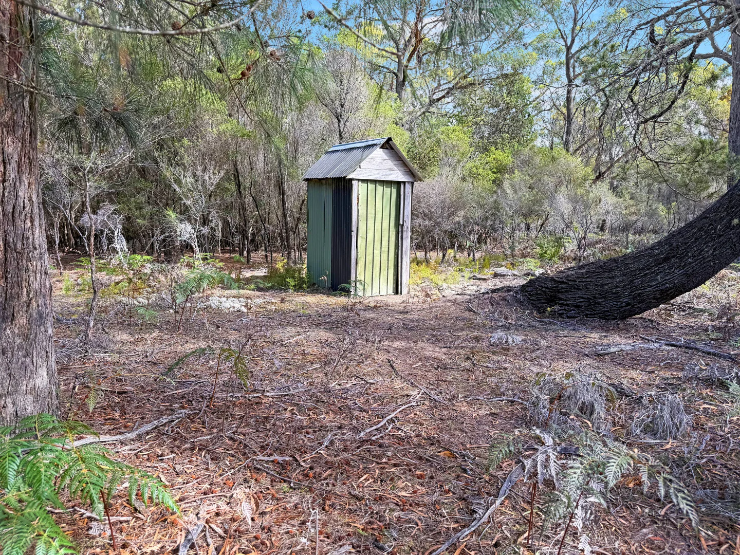 Image 13
