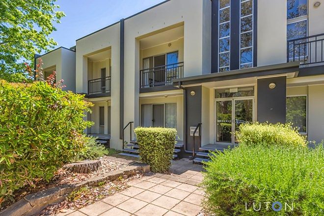 Picture of 10/48 Henty Street, BRADDON ACT 2612