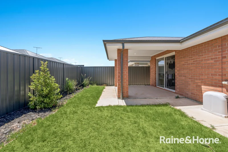 Image 15