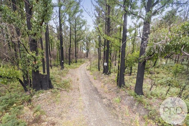 179 Real Estate Properties For Sale In Lonnavale Tas 7109 Domain