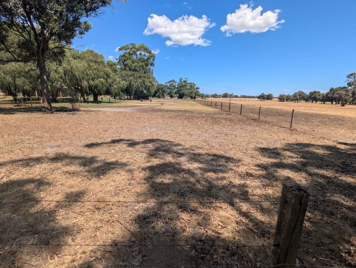 Image 10