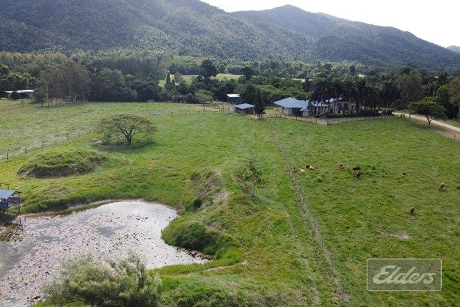 Picture of 23 O'Hanlon Road (L6 Bulgun Rd), FELUGA QLD 4854