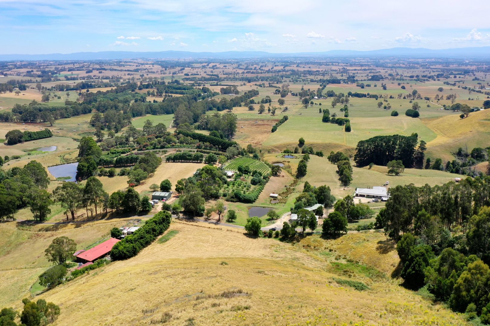 200 Petersons Road, Ellinbank VIC 3821, Image 1