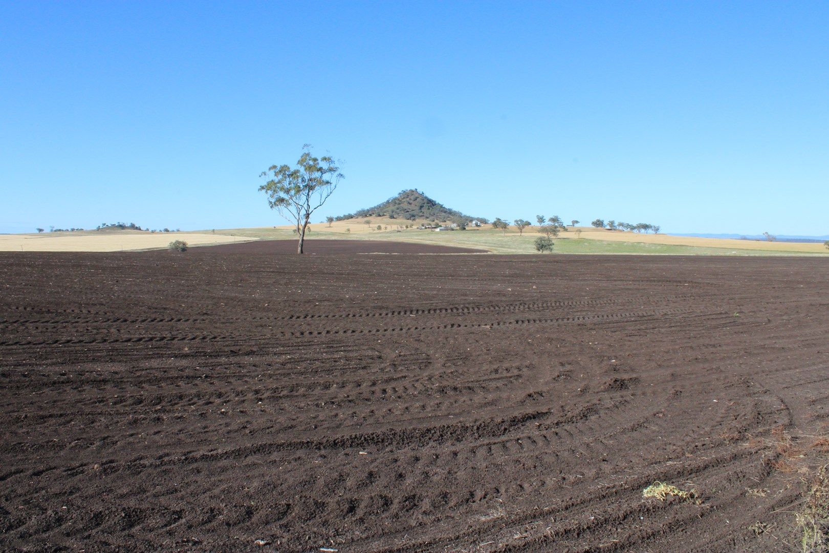 Lot 1 Glenesk Road, Inverell NSW 2360, Image 0