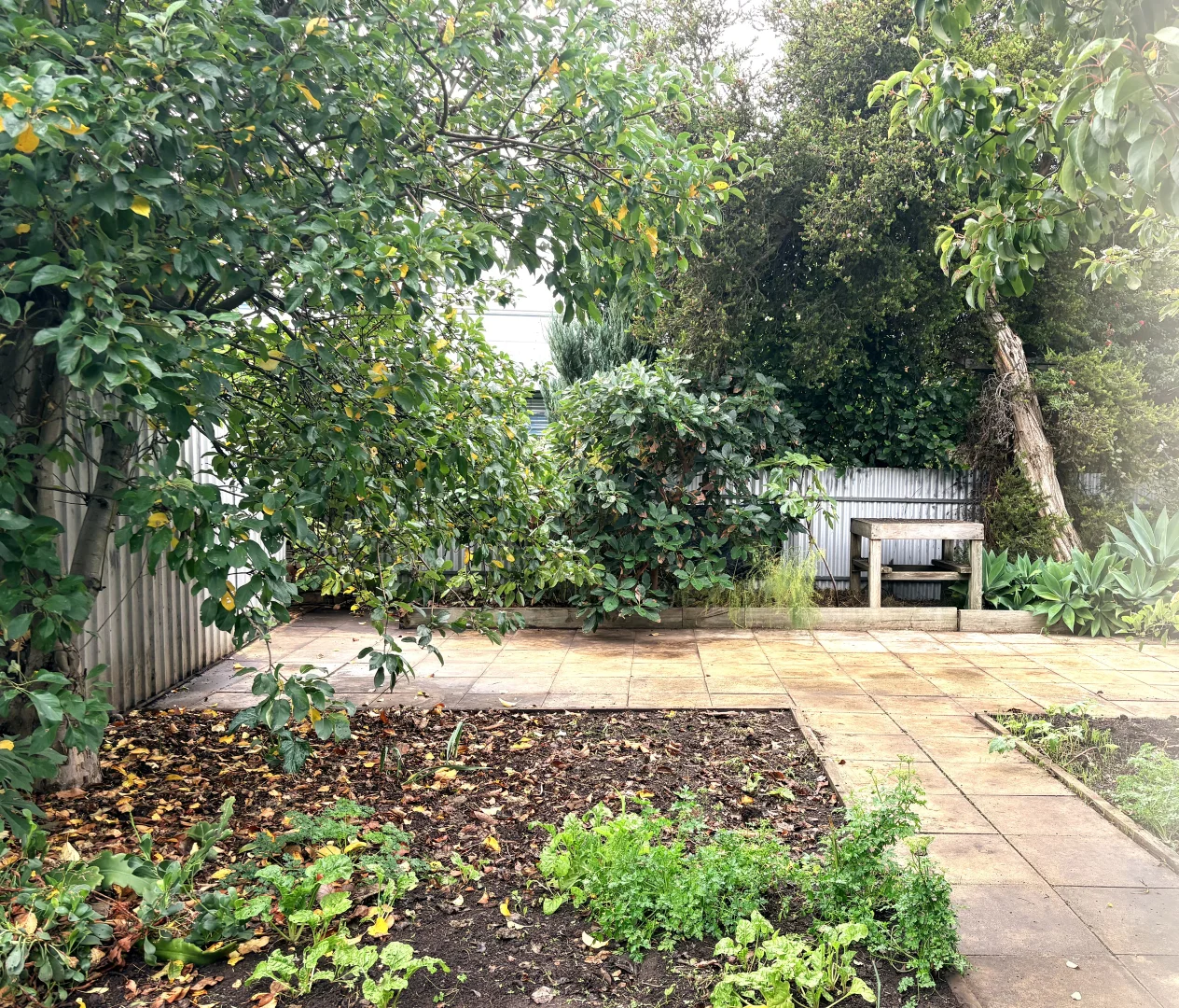 Image 27