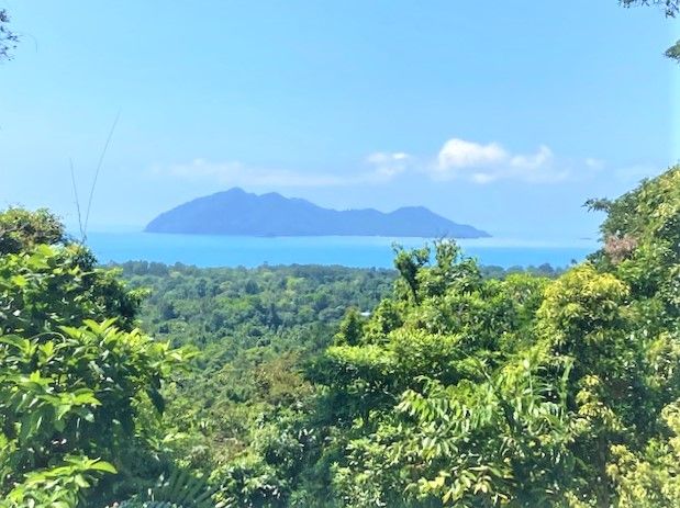 Vacant land in 36 MISSION CIRCLE, WONGALING BEACH QLD, 4852