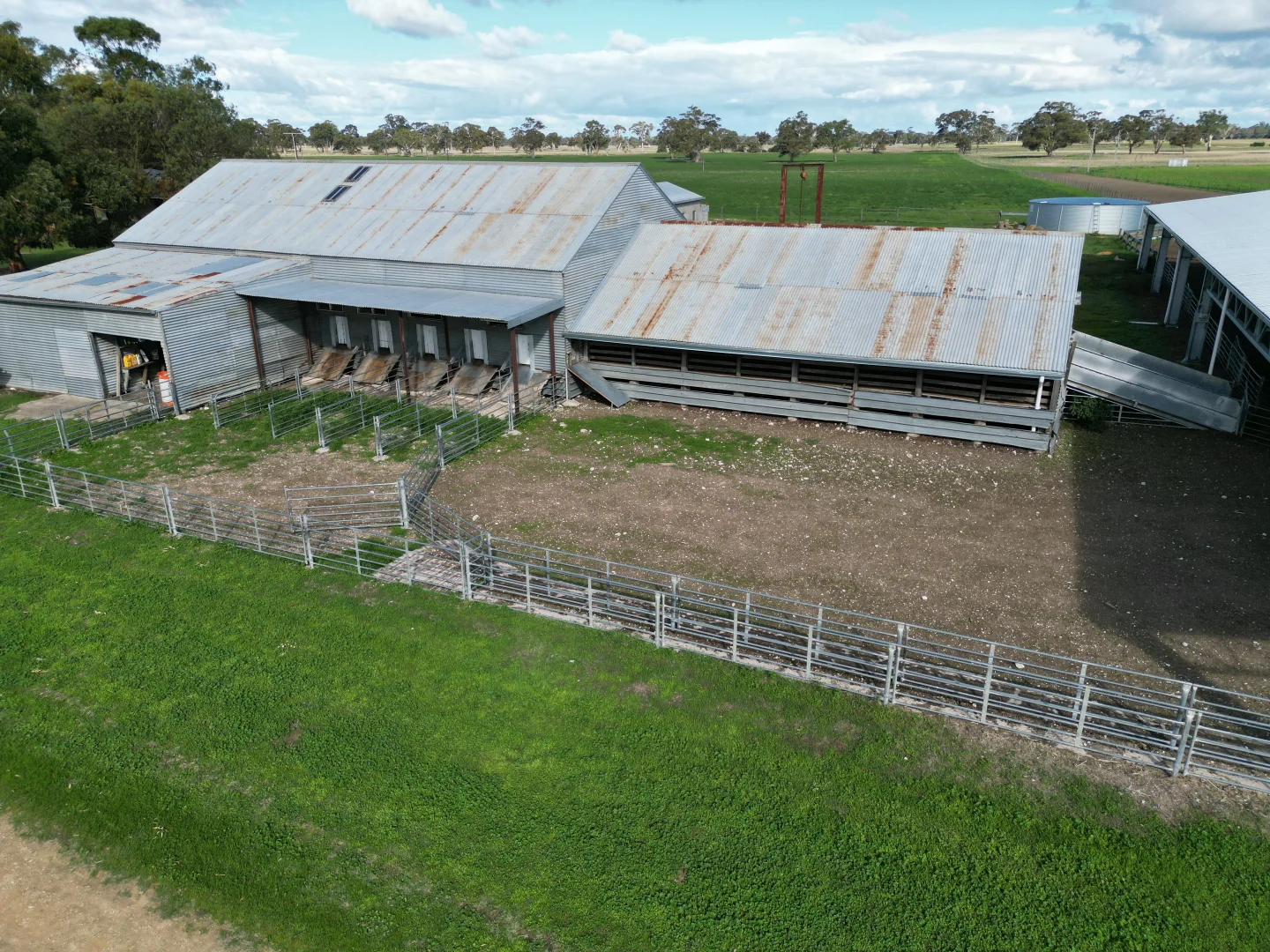 Image 11