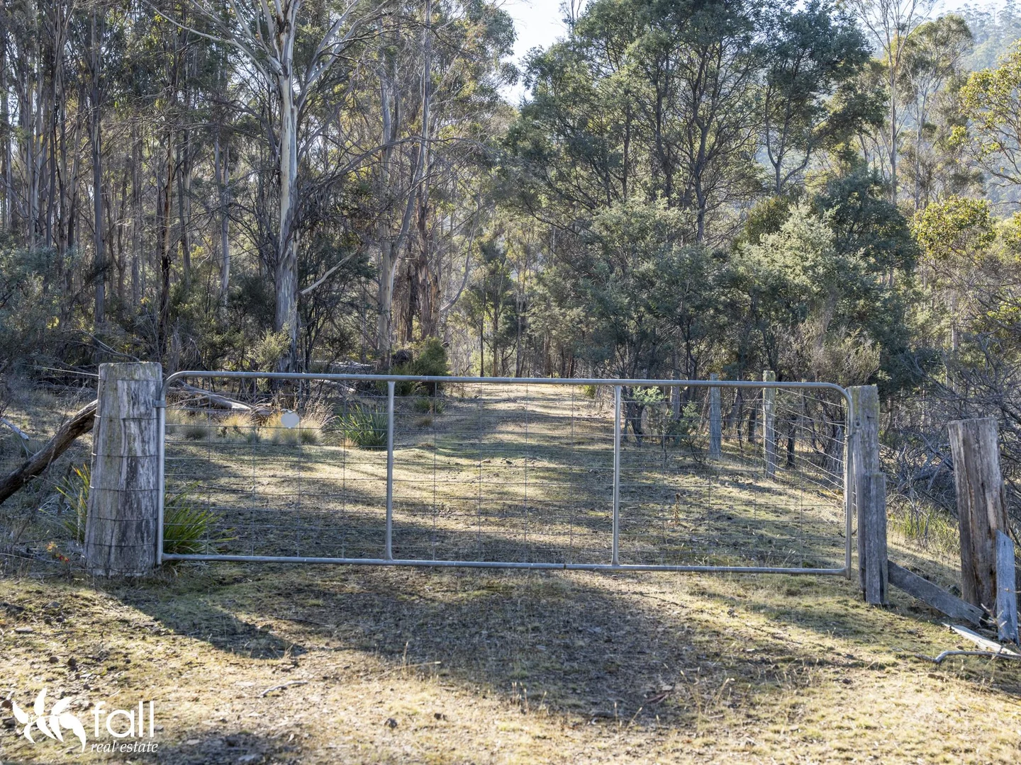 Image 19