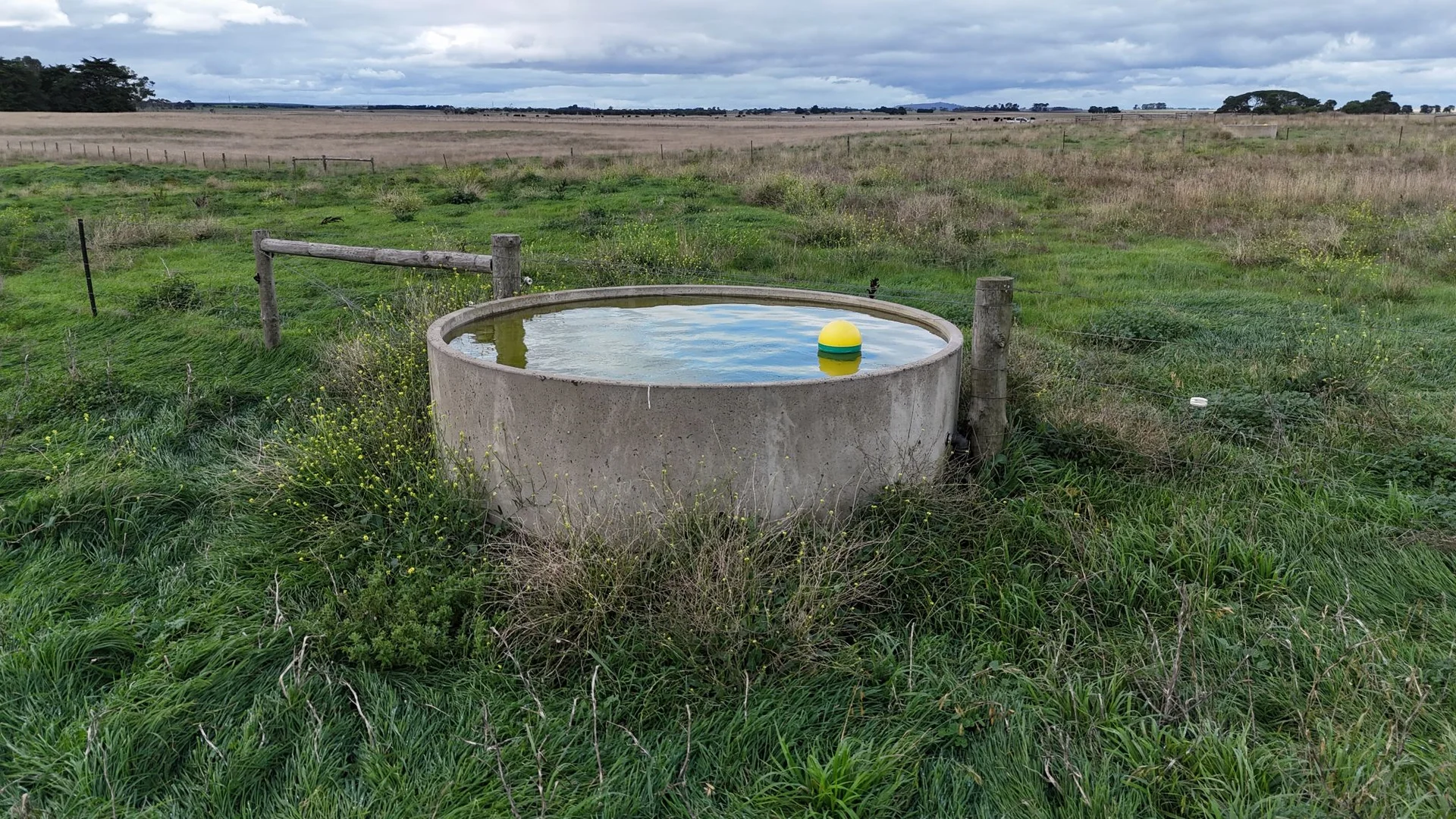 Image 10