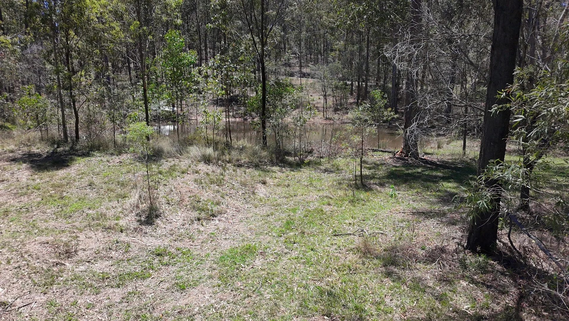 Additional image 13 of 22 Cramer Avenue, Laidley South QLD 4341