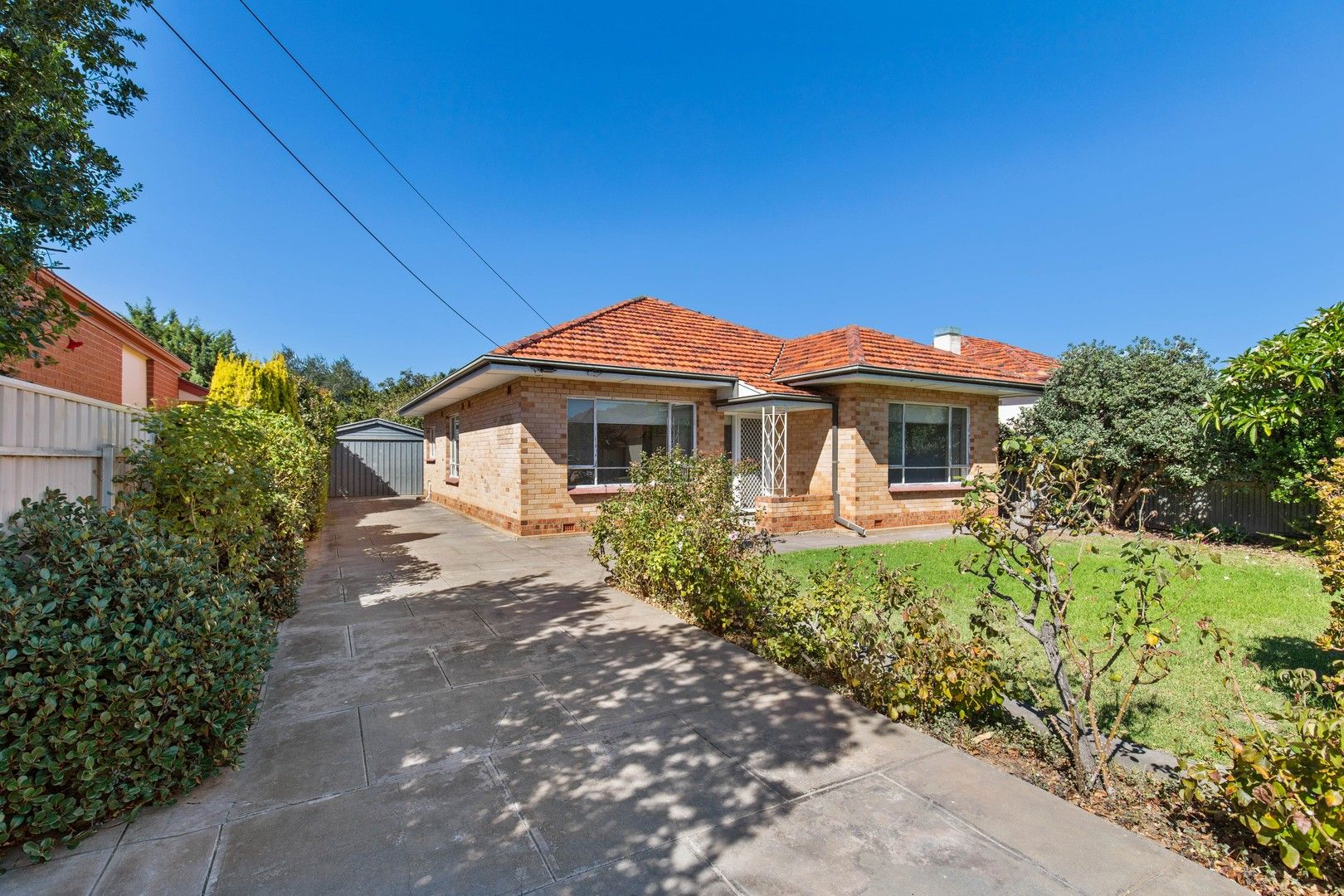 77 Selth Street, Albert Park SA 5014, Image 0