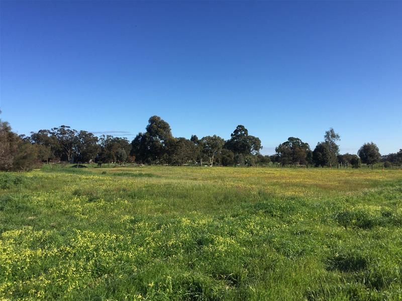 Lot 161 James Eden Drive, West Pinjarra WA 6208, Image 1