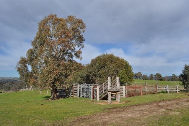 Lot 1 Martindale Road, Indigo Valley VIC 3688, Image 1