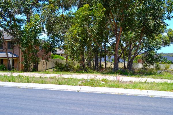 24 Riesling Road, Bonnells Bay NSW 2264, Image 0