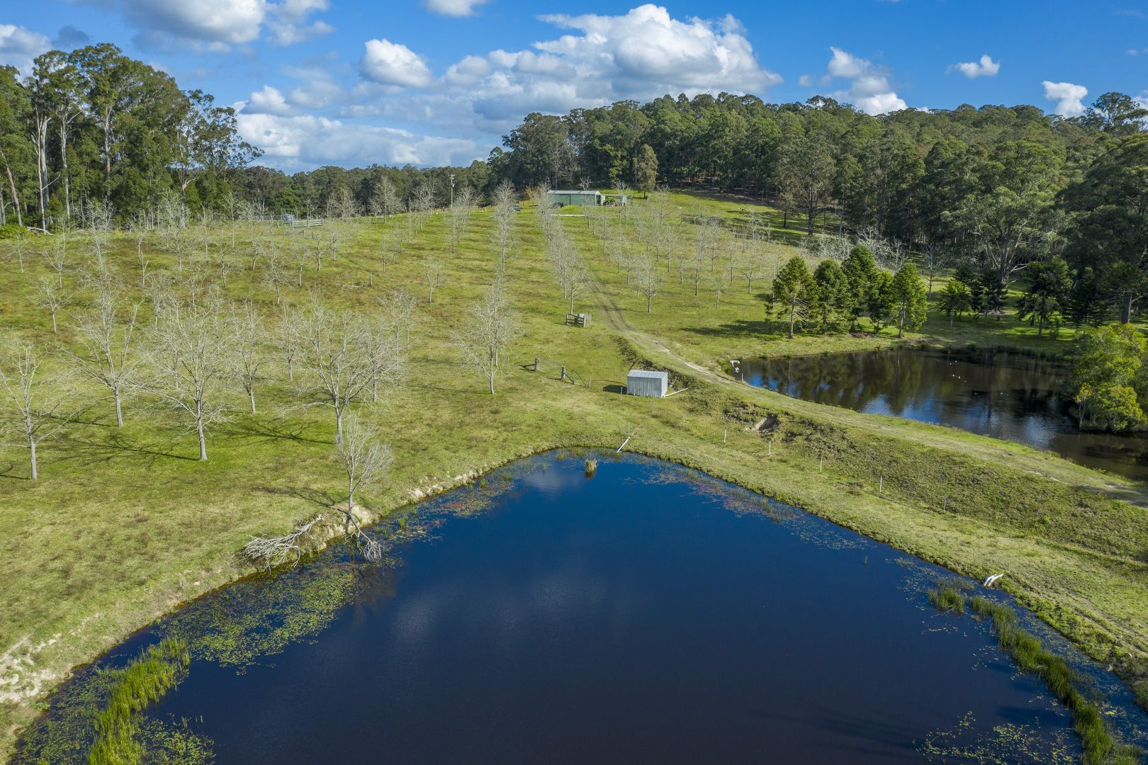 1450 Booral Road, Girvan NSW 2425, Image 2