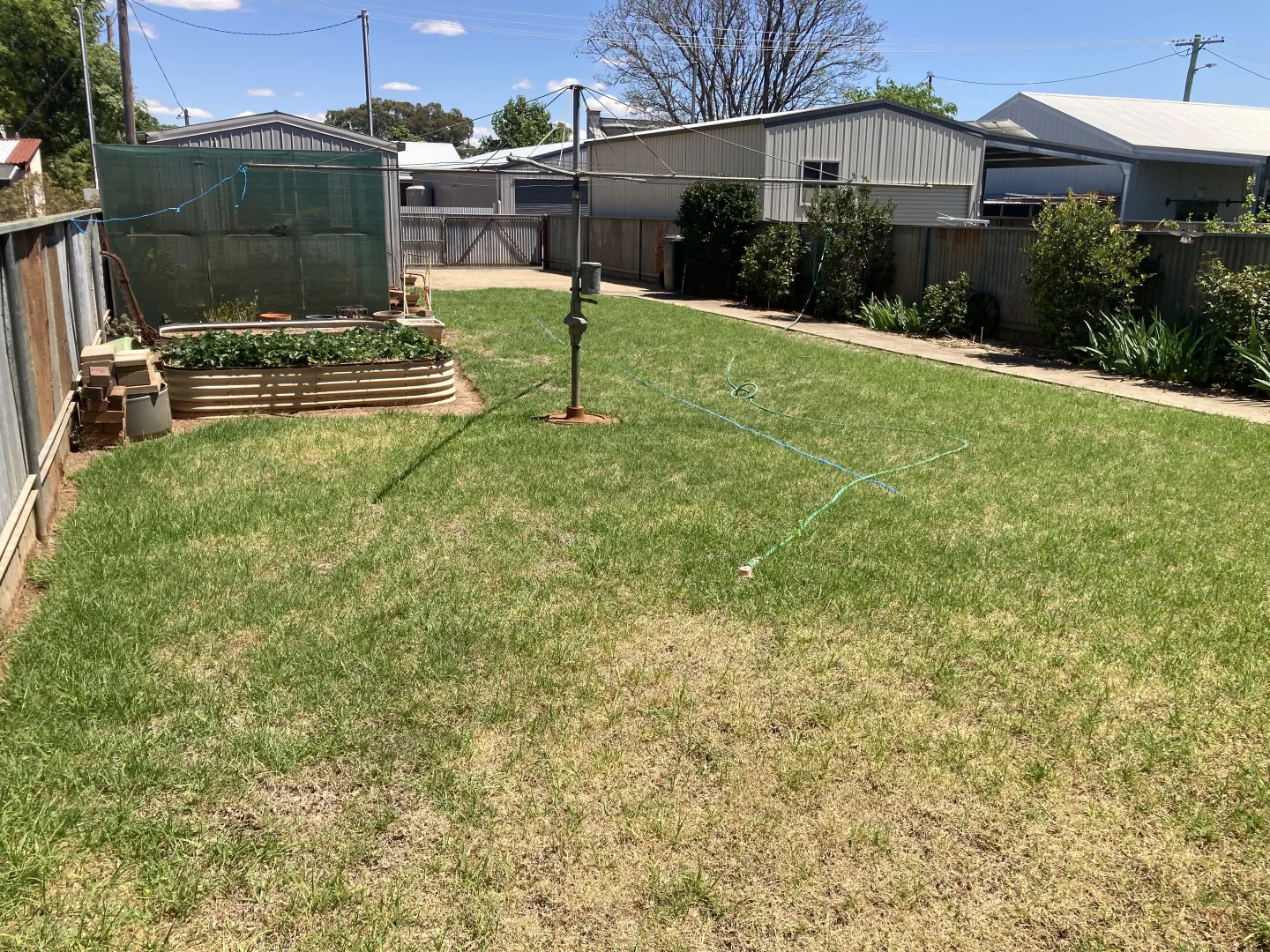 Image 12
