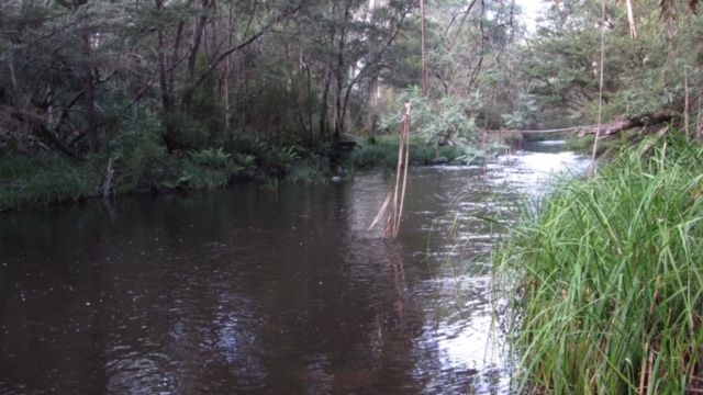 23 Wombat Crescent, East Warburton VIC 3799, Image 0