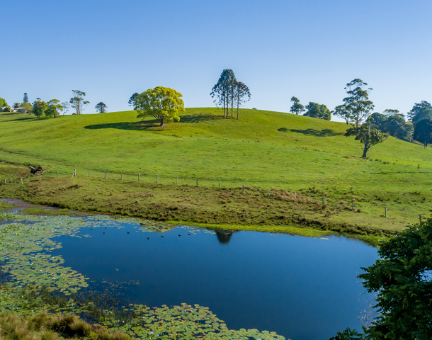 342 North Maleny Road, North Maleny QLD 4552