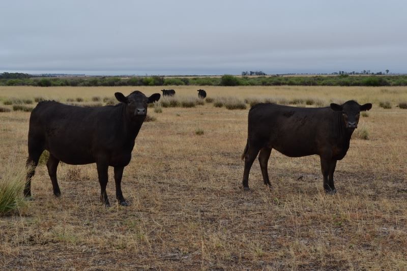 Cunderdin WA 6407, Image 0