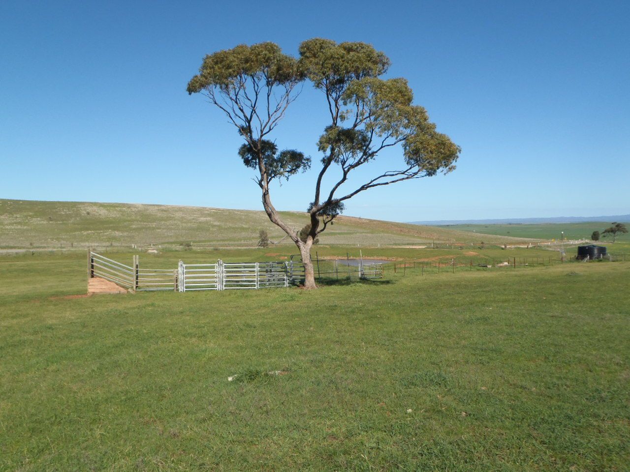 Section 235E Appila-Tarcowie Road, Tarcowie SA 5431, Image 0