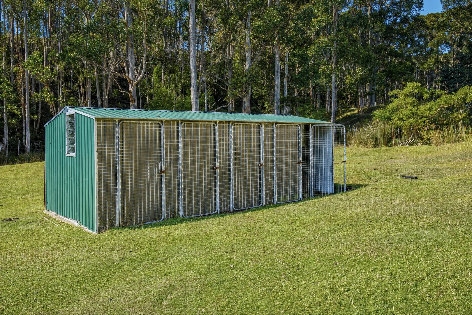 Image 25