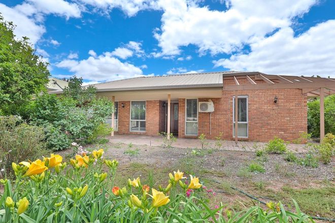 Picture of 95 Cadell Street, WENTWORTH NSW 2648