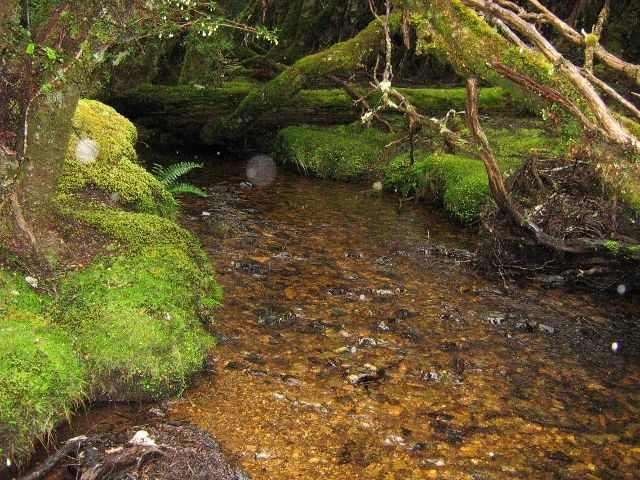 3744 Cradle Mountain Road, Cradle Mountain TAS 7306, Image 2