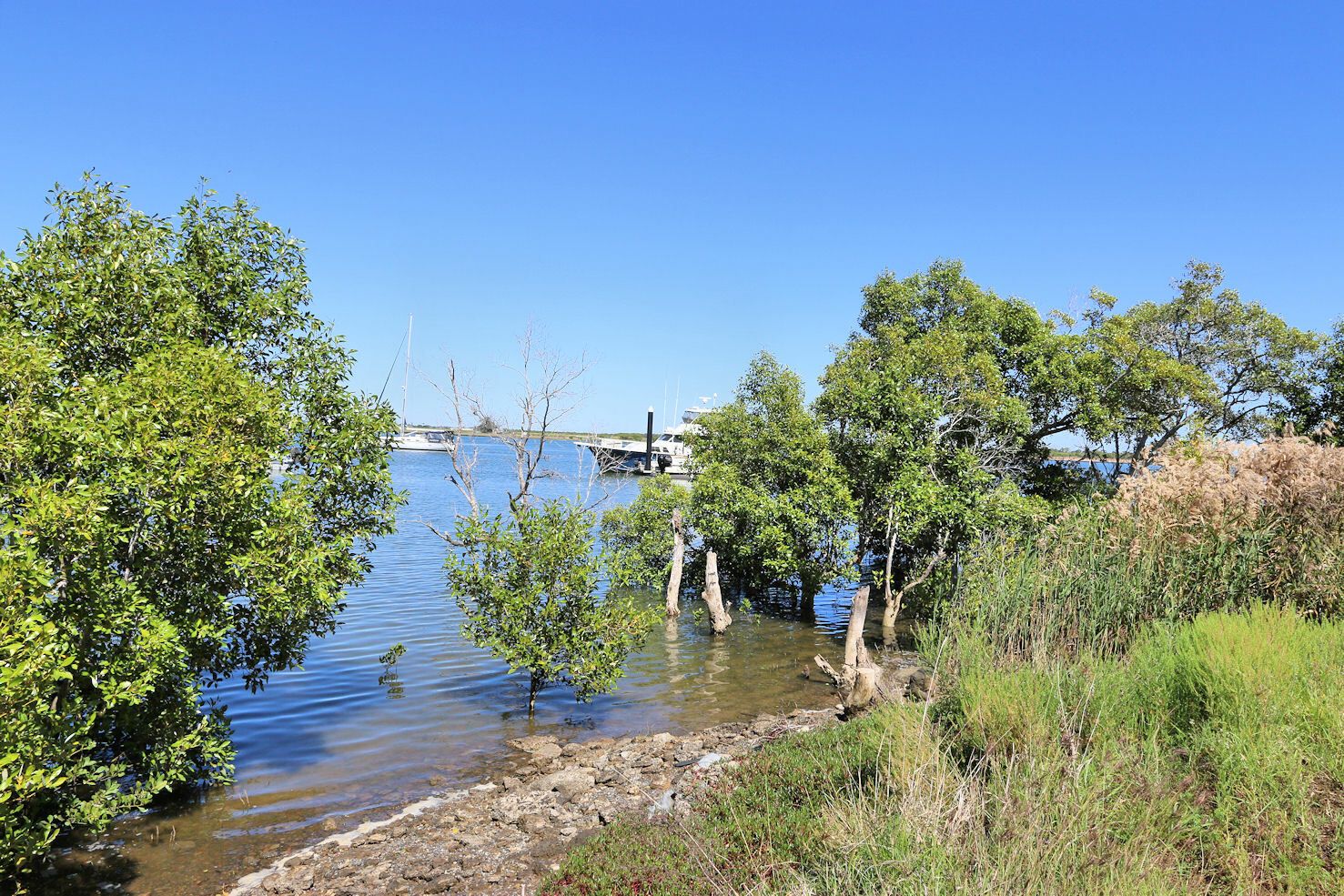 14 Corser St, Heads QLD 4670 Domain