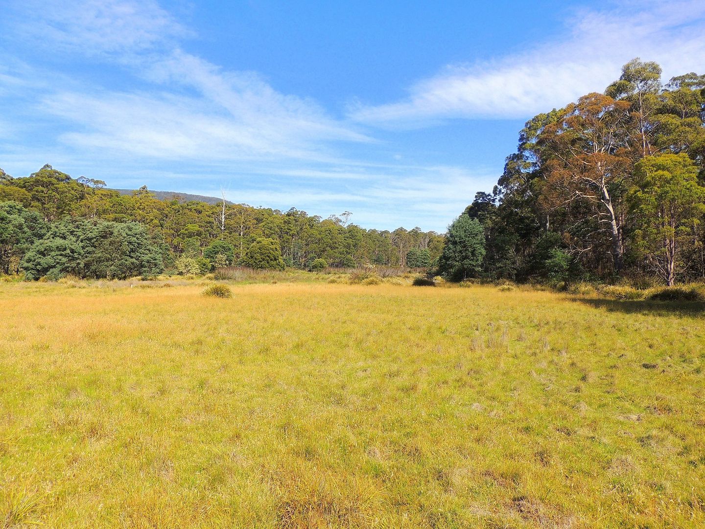 520 Elephant Pass Road, St Marys TAS 7215, Image 1