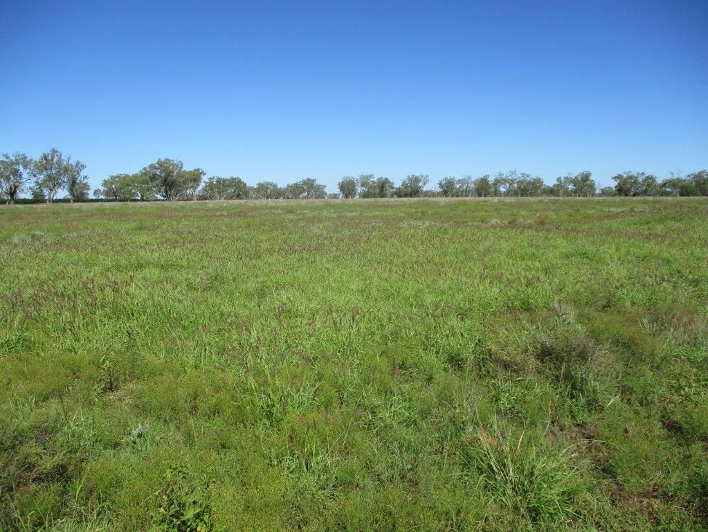 AUCTION "IRONBARK 2" - 405 ACRES, Kaimkillenbun QLD 4406, Image 1