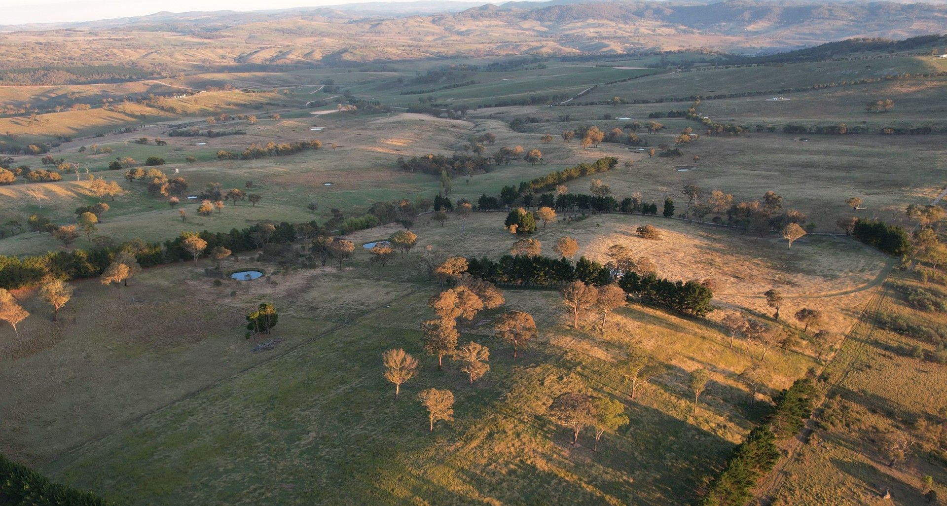 Lot 1 Oaky Creek Lane, Vittoria NSW 2799, Image 0