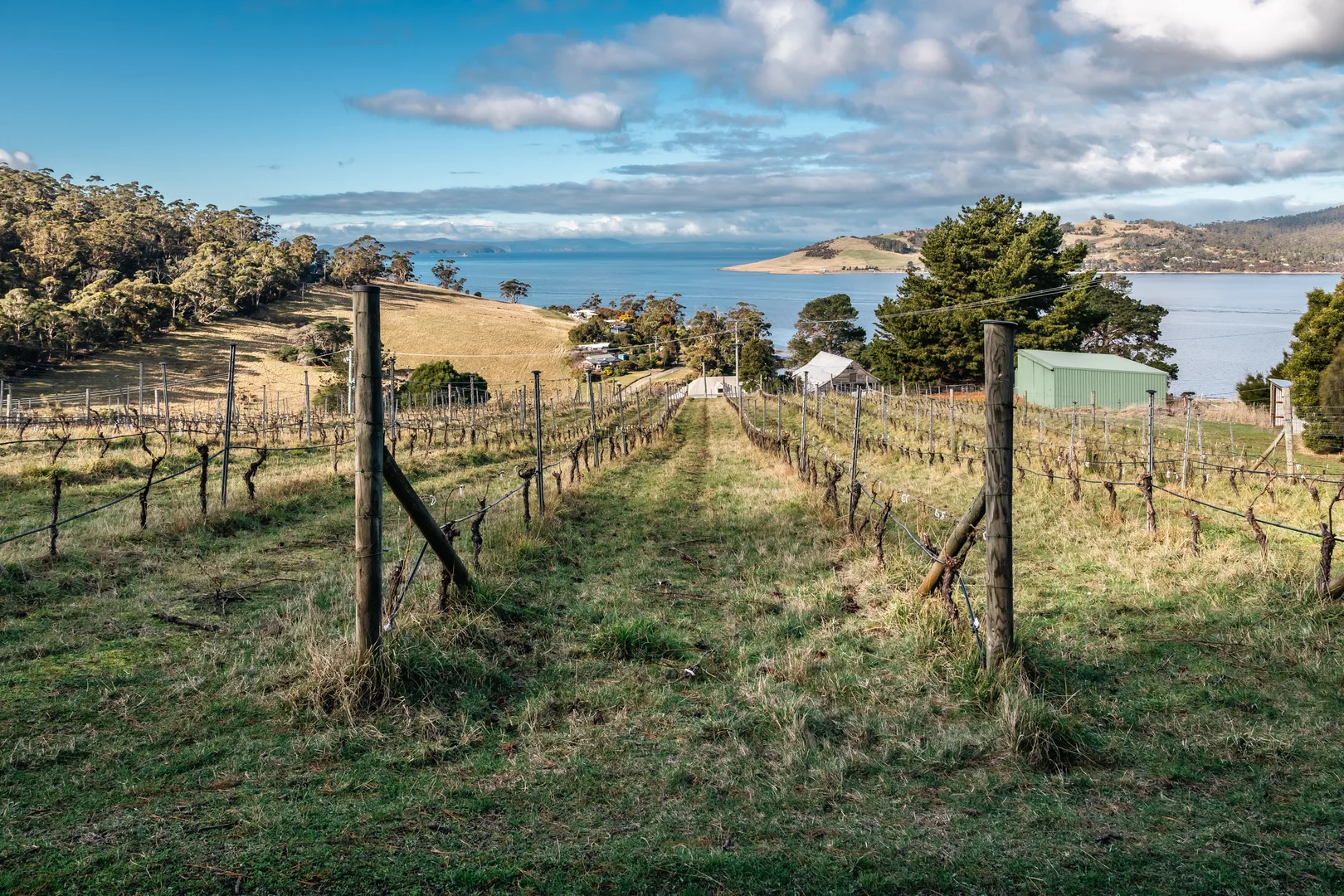 Additional image 16 of 441 Tinderbox Road, Tinderbox TAS 7054