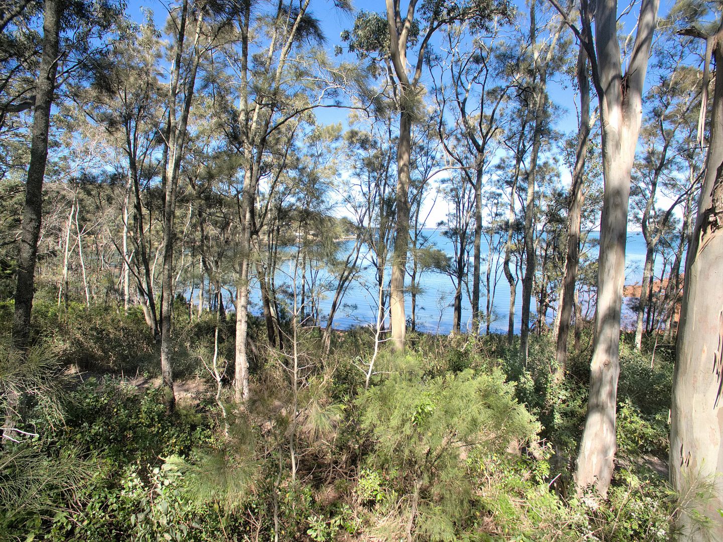 967 968 Estuary Way, North Arm Cove NSW 2324, Image 2