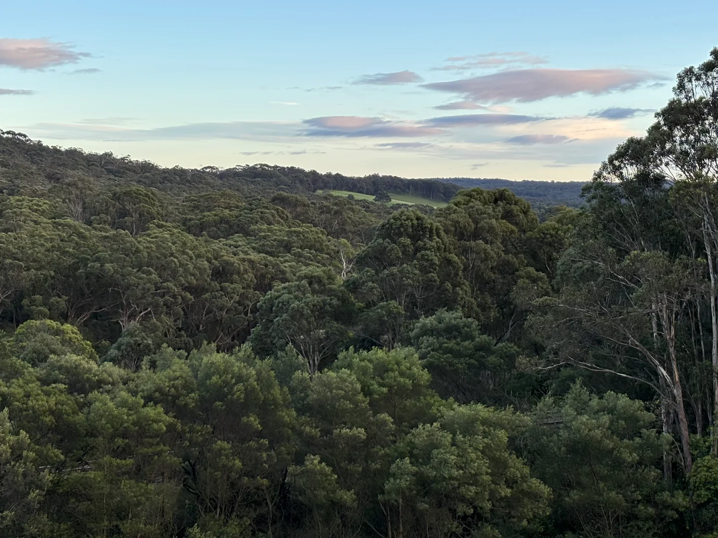 Additional image 3 of 11/133 Old Bowral Road, Bowral NSW 2576