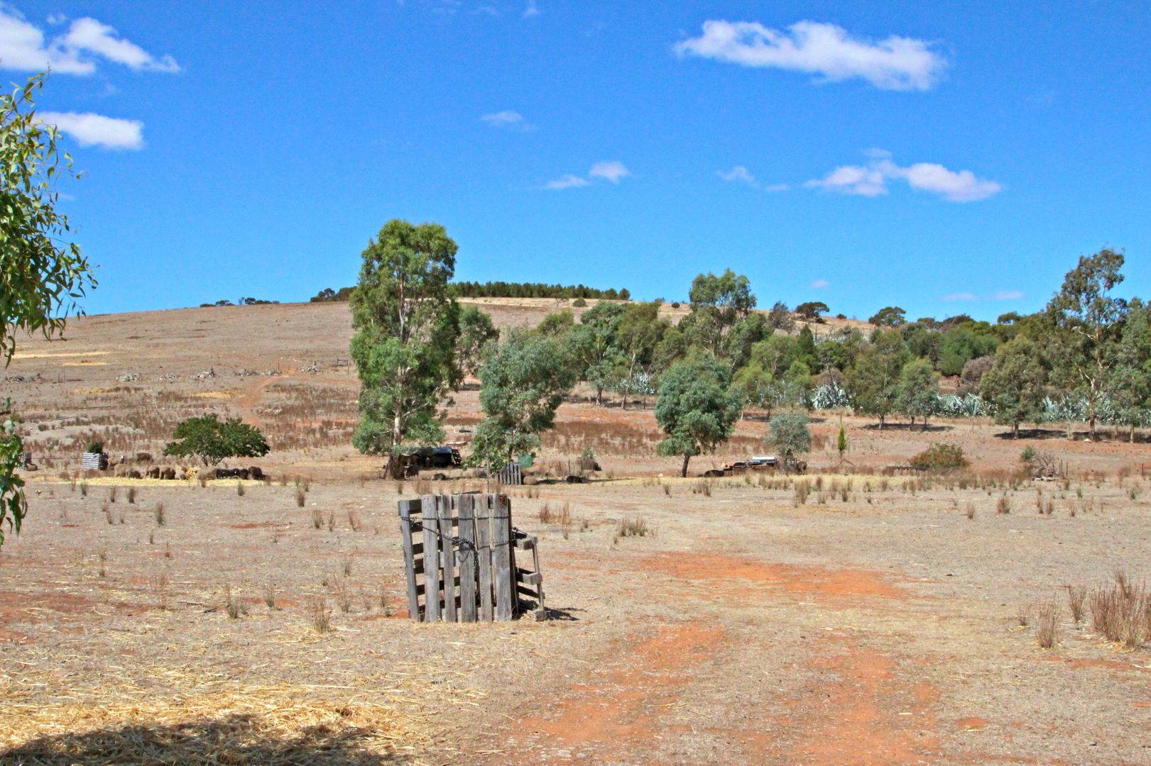 A208 Commercial Road, Burra SA 5417, Image 2