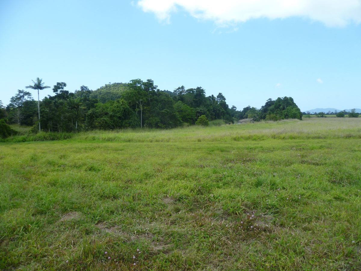 Lot 1 Bruce Highway, Cowley QLD 4871, Image 2