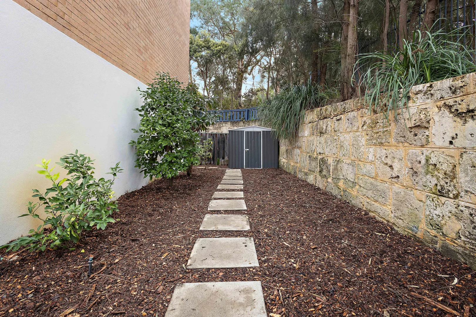 Image 19