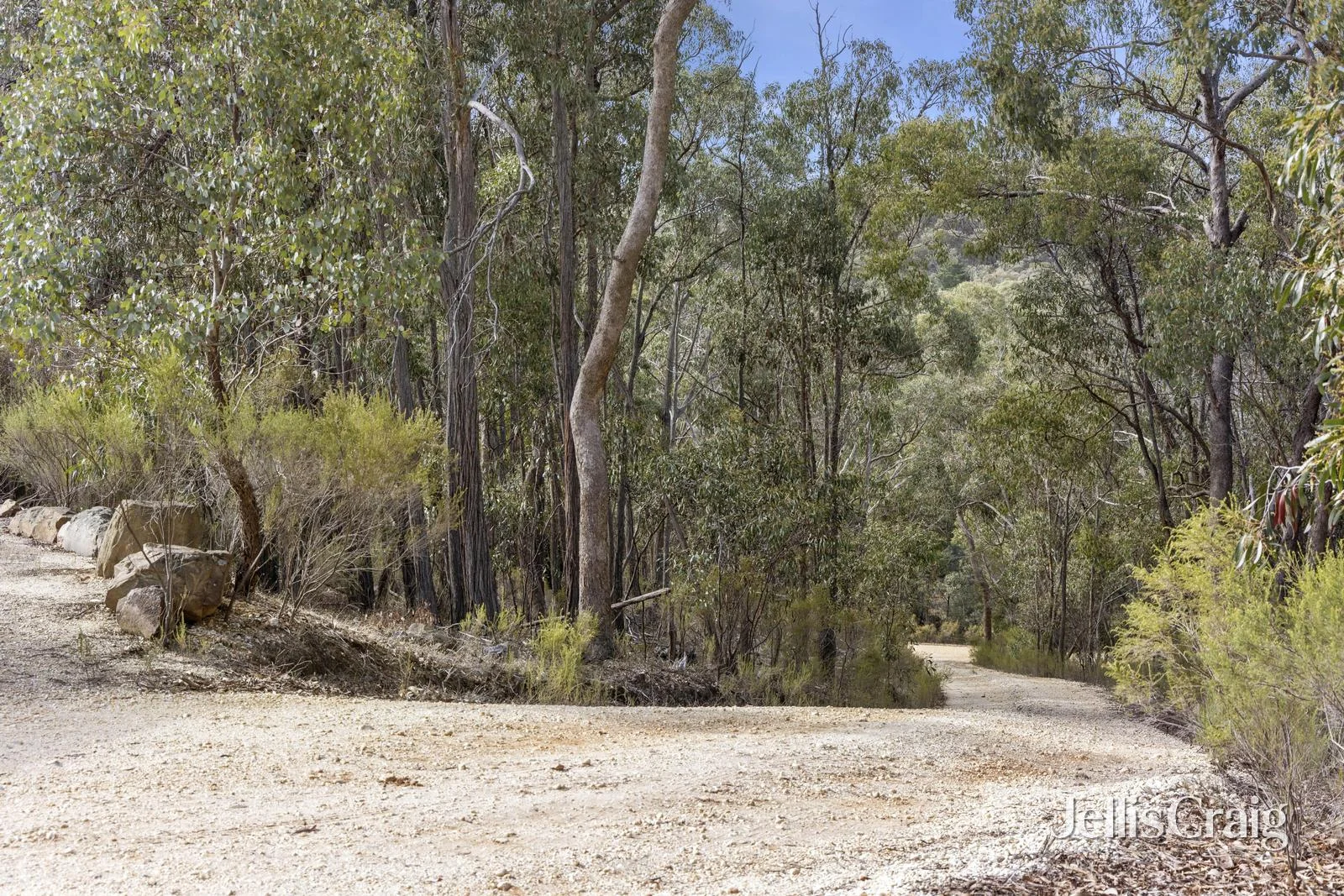 Image 15