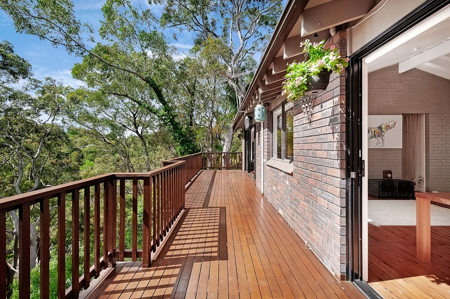 109 Kooringal Avenue, Thornleigh NSW 2120 House For Rent Domain