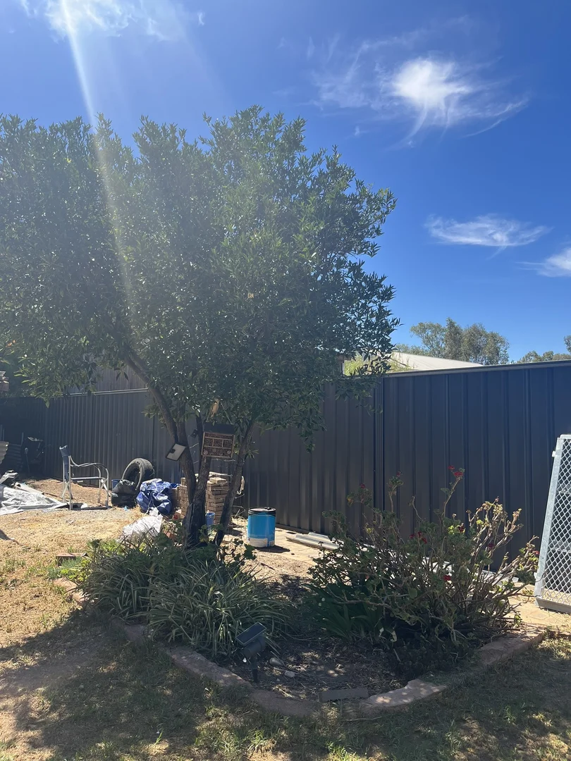 Additional image 18 of 462 Fitzgerald Street W, Northam WA 6401