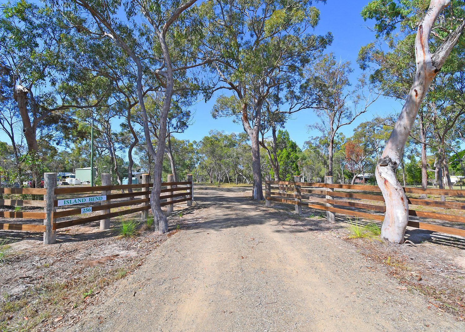 256 Pacific Haven Circuit Pacific Haven QLD 4659 Domain