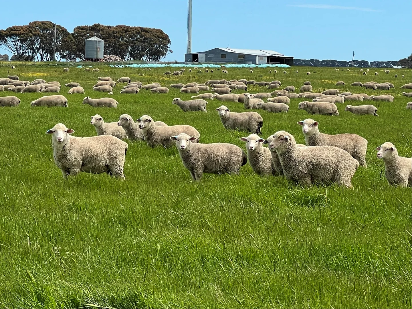 Additional image 19 of Woorndoo-Darlington Road, Woorndoo VIC 3272