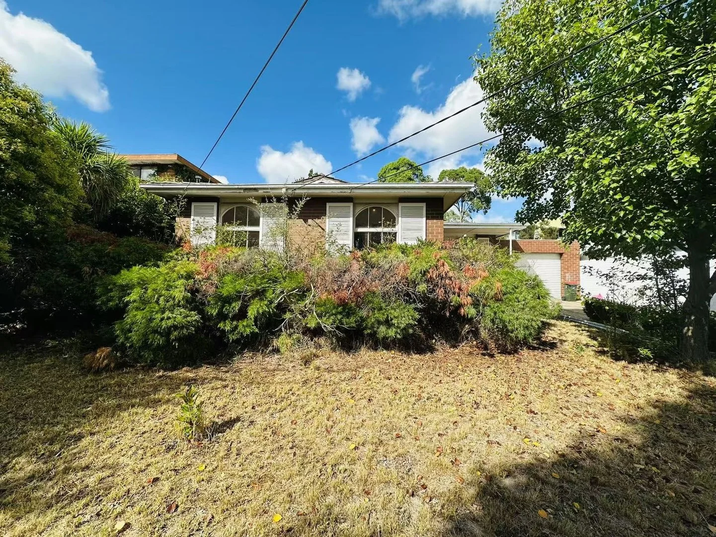 Primary image of 55 Ironbark Drive, Templestowe Lower VIC 3107