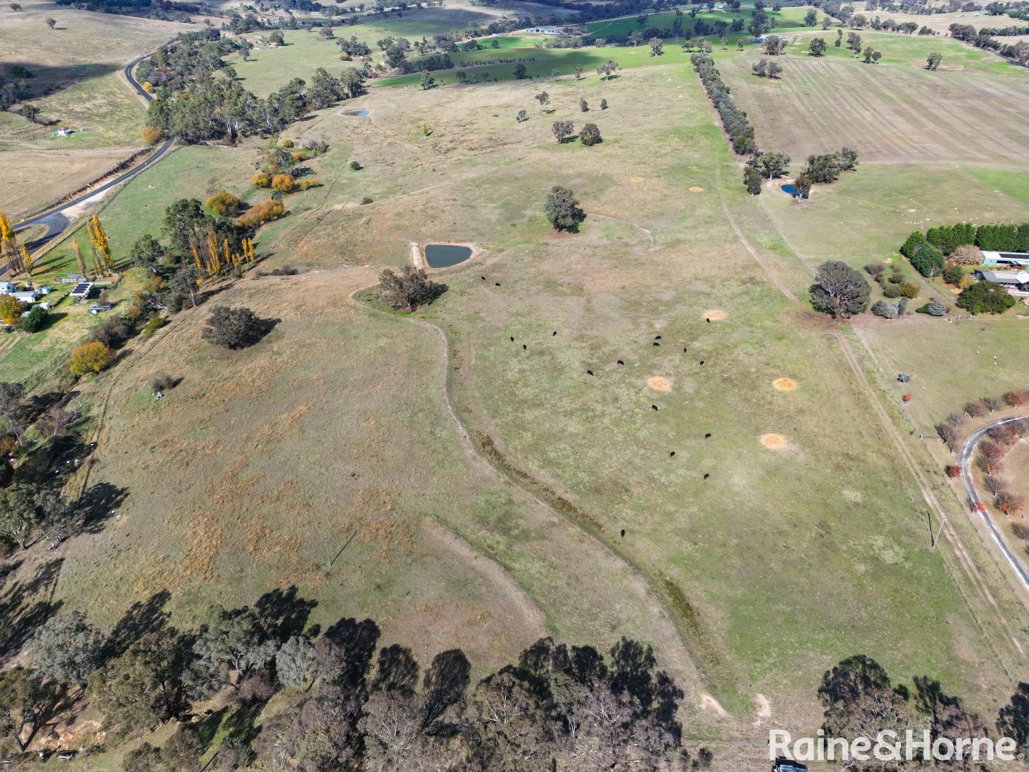 69 Bloom Hill Road, O'Connell NSW 2795, Image 1