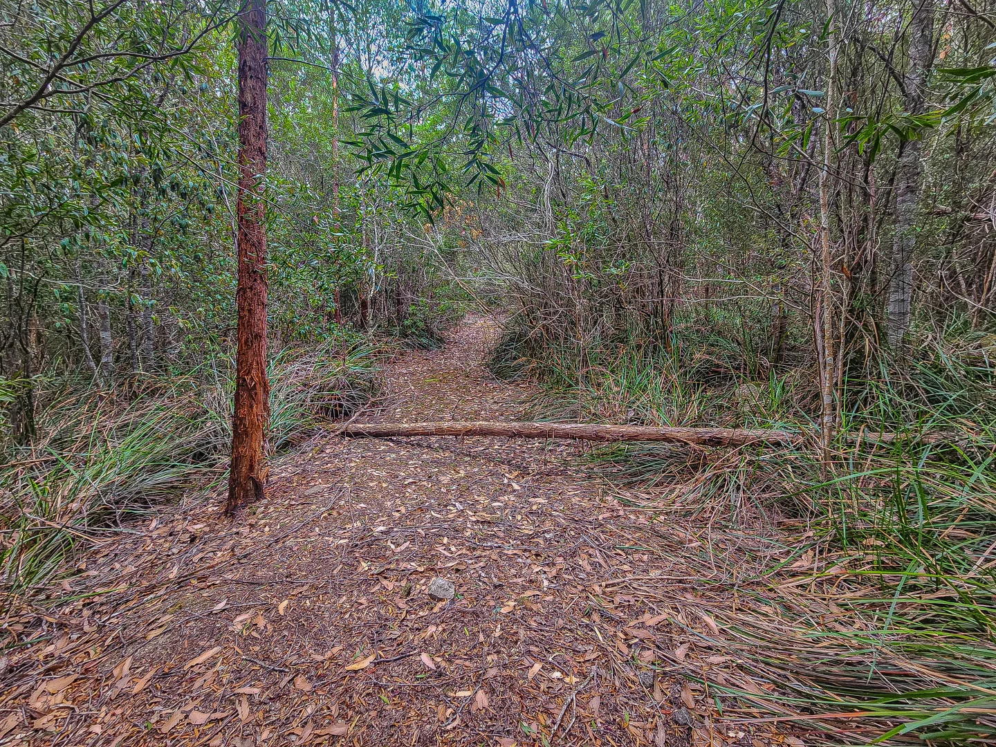 Additional image 14 of 1 Link Road, Lonnavale TAS 7109