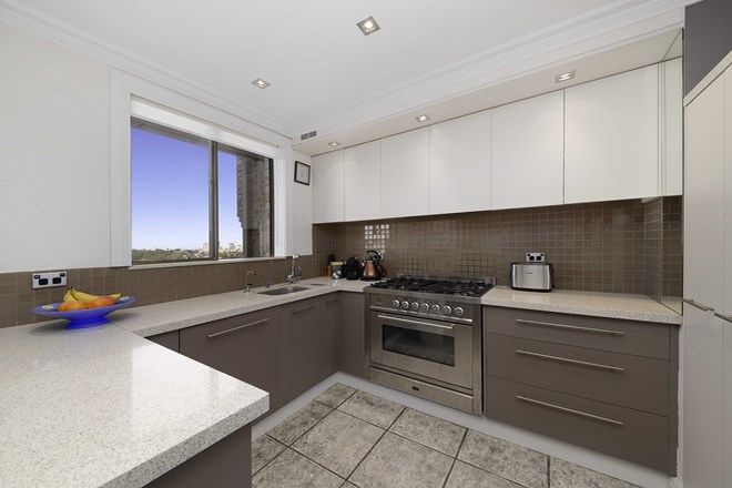 98 3 Bedroom Apartments For Rent In Surry Hills Nsw 2010 - 