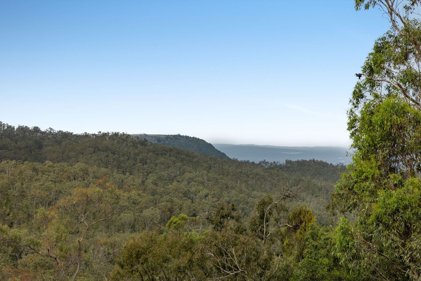 104-108 Flagstone Creek Road, Middle Ridge QLD 4350 | Domain