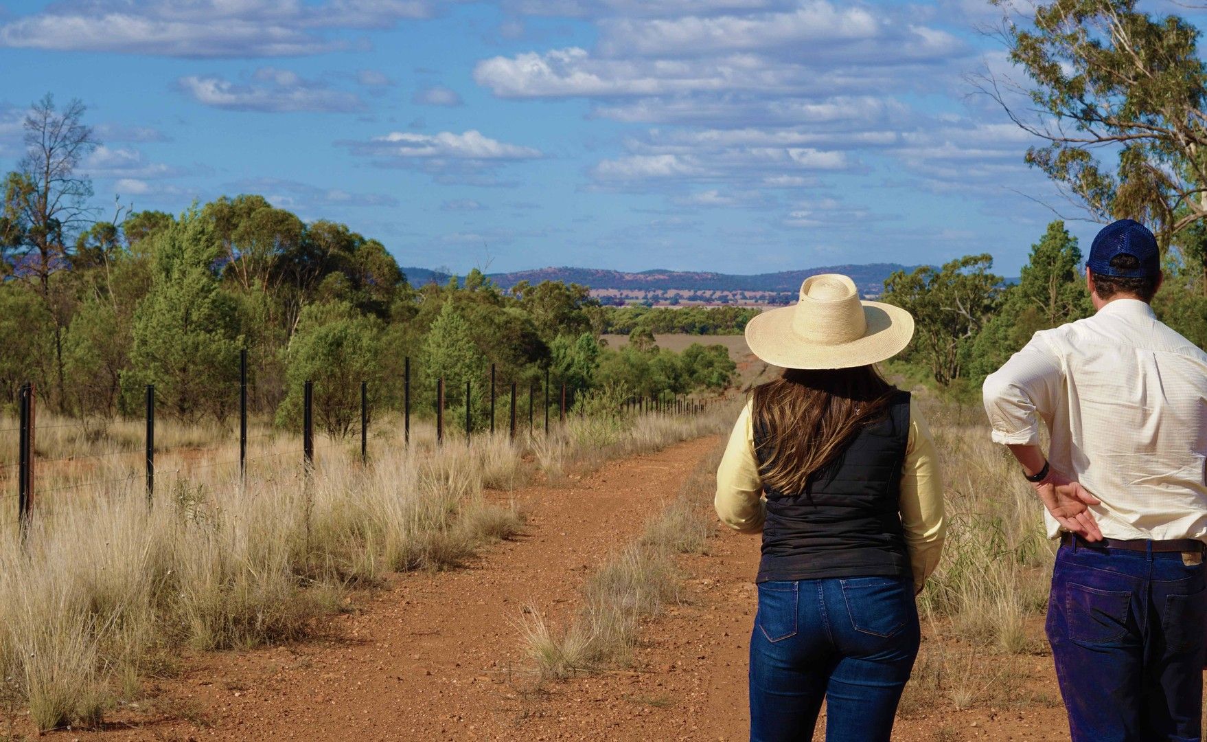 Part Mount Tinda Rosedale Road, Condobolin NSW 2877, Image 1