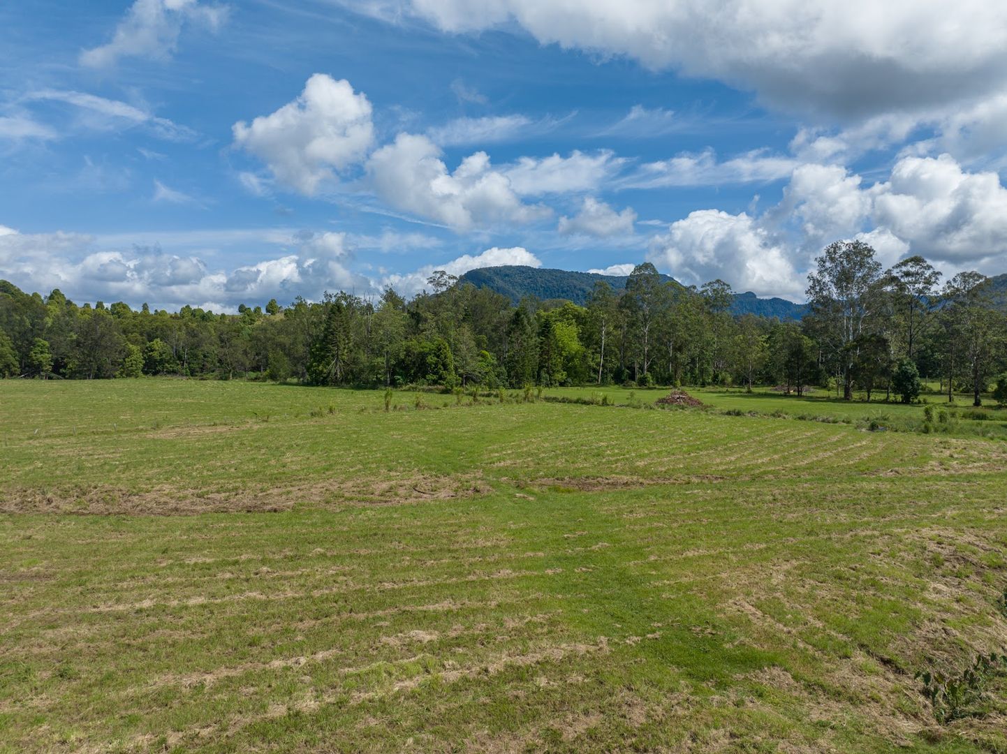 99 Gungas Road, Nimbin NSW 2480, Image 2