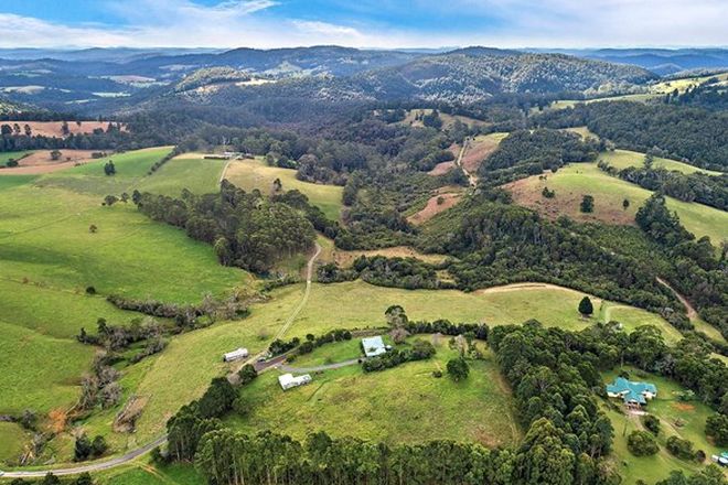 Picture of 376 Slingsbys Road, DORRIGO NSW 2453